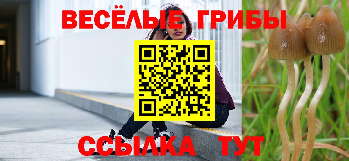 Елец  Галлюциногенные грибы мухоморы  Вход с VPN 