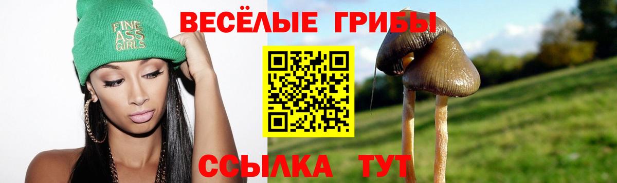 Галлюциногенные грибы мицелий Елец